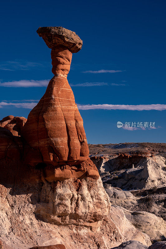 毒蕈hoodooos - Kanab